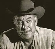 Watch Wagon Train Online