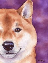 Shiba Inu Dog Watercolor Signed Fine Art Print By By K9artgallery 12 50 Watercolor Dog Dog Art Dog Paintings