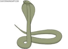*free* shipping on qualifying offers. How To Draw A Cobra Easy Drawings Animal Drawings Draw