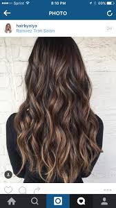 Thin Caramel Highlights Caramel Highlights Dark Hair With Highlights Stylish Hair