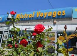 Acceptam ca plata, tichetele de vacanta ( vouchere) 2. Tichete De Vacanta