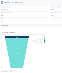 Embedding A Report Chart In An Object Page Salesforce