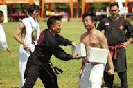 File:PENCAK SILAT - Indonesian martial art.jpg - Wikimedia Commons