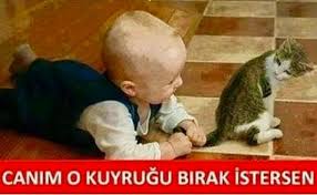 Komik Seyler Komik Alintilar Mizah
