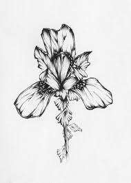 Iris By Christopher Lem Iris Tattoo Iris Drawing Iris Flower Tattoo