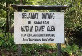 Related image
