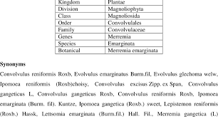 Image result for Merremia emarginata