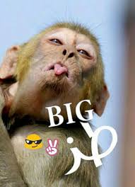 Pin By Mohammed Sultan On Be Smile Funny Arabic Quotes Arabic Funny Funny Picture Jokes