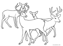 We did not find results for: Free Printable Deer Coloring Pages For Kids Cool2bkids