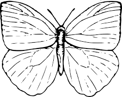 Find & download free graphic resources for butterfly outline. Download Easy Butterfly Drawings Butterfly Outline Clip Art Butterfly Clip Art Png Image With No Background Pngkey Com