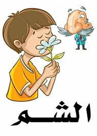 معلقات الحواس الخمسة للطور الإبتدائي childcare activities blog posts activities