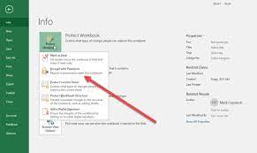 How To Add Password To Excel File 2007 | Wps Office Academy