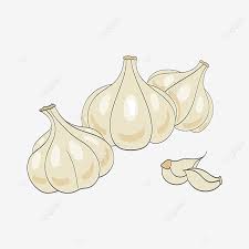 Learn how to peel 20 cloves of garlic in 20 seconds! Garlic Clove Garlic Clip Art Garlic Clipart Garlic Clipart Png And Vector With Transparent Background For Free Download