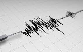 Temblor is often used in news headlines, probably since it's fewer letters than earthquake. No Fue Temblor Fue Perturbacion Atmosferica El Sol De Tijuana Noticias Locales Policiacas Sobre Mexico Baja California Y El Mundo