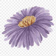 Purple Aster Flower Transparent Png Watercolor Sticker Free Image By Rawpixel Com Niwat Aster Flower Watercolor Watercolor Stickers