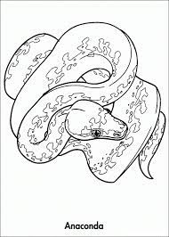 One gives your child plenty of blank space so that they can draw their favorite animals. Rainforest Animals Coloring Pages Yahoo Image Search Results Animal Coloring Pages Rainforest Animals Animal Coloring Books