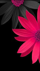 Download them for free for your. Pink Black Iphonebackgrounds Pink Flowers Wallpaper Beautiful Flowers Wallpapers Beautiful Wallpapers