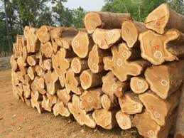 Indian sheesham wood furniture has a further more cutting form various directions appear different grain textures which have the same appearance that of mahogany, oak, teak and other types of wood. Patta Teak Wood Logs At Rs 750 Cubic Feet Teak Wood Logs Id 9160924188
