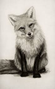 Remember that animals we see on land and in the sky are only half of our animal world. Fox Say What Art Print By Isaiah K Stephens Pencil Drawings Of Animals Animal Drawings Realistic Drawings