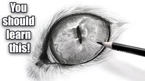 In this real time drawing tutorial i'm showing you how to draw cat eyes in colored pencil using polychromos and luminance pencils. The Importance Of Black And White Cat Eye Drawing Youtube