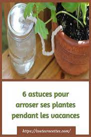 Maybe you would like to learn more about one of these? 6 Astuces Pour Arroser Ses Plantes Pendant Les Vacances Toutes Recettes