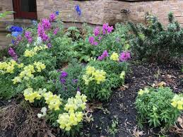 Learn about perennials, flowering shrubs and native plants that thrive in our area during cooler weather. Making Gardens In Texas Finegardening