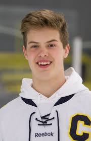 2018-19 All-Livingston County hockey team