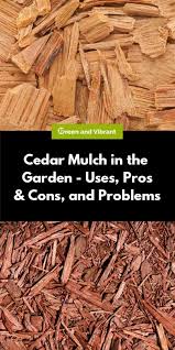 Get info of suppliers, manufacturers, exporters, traders of wood chippers for buying in india. Cedar Mulch In The Garden Uses Pros Cons And Problems Trees Com