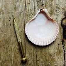 If you do too much at once, you'll find that the clay cakes onto your hand. How To Drill A Hole In A Seashell Without Breaking It