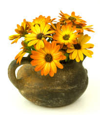 Image result for paprskovka obrázek