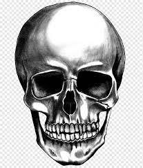 Cara menggambar tengkorak dengan mudah how to draw easy skull youtube. Skull Desktop Skull Face Monochrome Head Png Pngwing