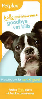 We are a team helping the albuquerque area with a pet passing or euthanasia in the comfort of home. Veterinarian In Albuquerque Nm Academy Pet Hospital