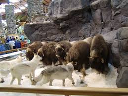 It was designed in 1975. 14 Cabelas Ideas Cabelas Cabela S Post Falls Idaho