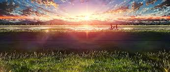 Green Grass Field Ultra Wide Japan Anime Sky Sunlight Hd Wallpaper Wallpaperbetter Now think of society, envision it as a gigantic field.