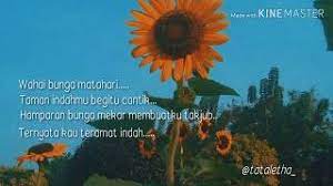 Posted in umum, uncategorized, tagged bunga matahari, pr, puisi on mei 29, 2009| 1 comment ». Puisi Tentang Bunga Matahari Youtube