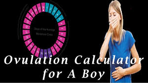 How to conceive a baby boy. Ovulation Calculator For A Boy Tips And Tricks Of Ovulation Calculator For A Boy Youtube