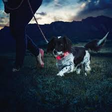 Nite Ize Nitedawg Led Isikli Kopek Tasmasi Kirmizi
