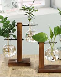 Bulb Glass Hydroponic Vase Flower Plant Pot W Wooden Tray Vintage Flower Pots Bulb Vase Plant Vase