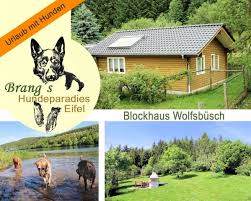 Urlaub mit hund ferienhaus eingezäunt alleinlage urlaube mit einem hund können anstrengend sein, vor allem, wenn du dich für eine ferienwohnung entschieden hast, in der der hund sich nur wenig bewegen kann. Grosse Hundewiese Mit Wald Und Eigenem Eingezaunten Garten 4 Eingezaunter Garten Hundewiese Hunde
