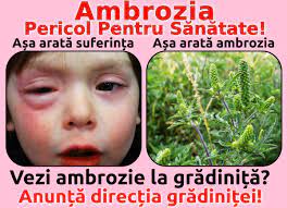 Check spelling or type a new query. Ambrozie Hashtag On Twitter