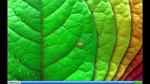 طريقة تحميل اليوتيوب على سطح المكتب 2014 youtube