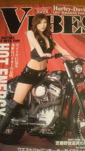 VIBES バイブズ 2009年 5月 vol.187 安藤なつみ 杏童ナツ 榊れいなの落札情報詳細 - ヤフオク落札価格検索 オークフリー