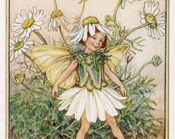 Cornflower Flower Fairy Vintage Print 1950 S Cicely Mary Etsy Flower Fairies Flower Fairies Books Vintage Fairies