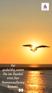 Spruch Des Tages Schone Spruche Lebensweisheiten Weisheiten Spruche Nachdenkliche Spruche