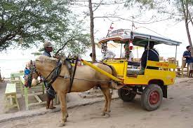 Macam Macam Alat Transportasi Tradisional Dan Modern