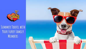 We pride ourselves on our innovative pet mobile design, solar panels, heated hydrobath tm, and our aussie pet mobile grooming service which assures a complete and comfortable experience for each pet, also don't forget to ask about the fabulous furminator. Summer Travel With Your Furry Family Members Aussie Pet Mobile Katy