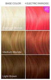 Electric Paradise Uv Reactive In 2021 Arctic Fox Hair Dye Arctic Fox Hair Color Hair Dye Colors