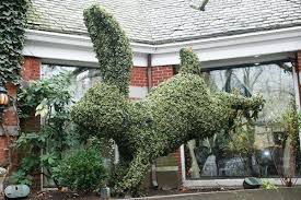Rabbit Topiary From Crystal Garden Lot 375 Urban Garden Easy Garden Crystal Garden