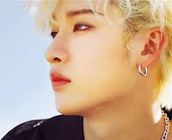 Ꭱéᴀᴄᴛɪᴏɴs Ꮪᴛʀᴀʏ Kɪᴅs ( En pause )