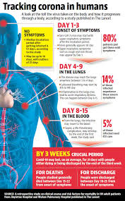 Pin On Hobo Survival